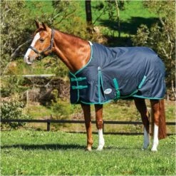 Weatherbeeta Comfitec Classic Medium Standard Neck Rug - Black / Green