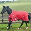 2022 Weatherbeeta Comfitec Classic Medium-Lite Standard Neck Turnout Rug - Red / Silver -THE DRILLSHED Shop Weatherbeeta20Comfitec20Classic20Standard20Neck20Medium20Lite20100940220 20Red.700x700