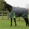 Weatherbeeta Comfitec Essential Medium Standard Neck Rug - Grey / Lime Colour Grey/Lime -THE DRILLSHED Shop Weatherbeeta20Comfitec20Essential20Standard20Neck20Medium20100041720 20Grey.700x700