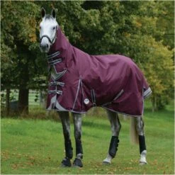 Weatherbeeta Comfitec Plus Dynamic II Lite Combo Neck Rug - Maroon / Grey