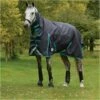 Weatherbeeta Comfitec Plus Dynamic II Medium-Lite Combo Neck Rug - Black / Aqua Colour Black/Aqua -THE DRILLSHED Shop Weatherbeeta20Comfitec20Plus20Dynamic20II20Combo20Neck20Medium20Lite20100691220 20Black.700x700