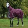 Weatherbeeta Comfitec Plus Dynamic II Medium-Lite Combo Neck Rug - Maroon / Grey Colour Grey/Maroon -THE DRILLSHED Shop Weatherbeeta20Comfitec20Plus20Dynamic20II20Combo20Neck20Medium20Lite20100691220 20Maroon.700x700