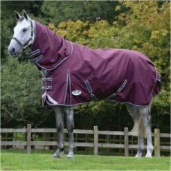 Weatherbeeta Comfitec Plus Dynamic II Lite Detach-A-Neck Rug - Maroon / Grey