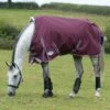 2022 Weatherbeeta Comfitec Plus Dynamic II Medium-Lite Standard Neck Turnout Rug - Maroon / Grey -THE DRILLSHED Shop Weatherbeeta20Comfitec20Plus20Dynamic20II20Standard20Neck20Medium20Lite20100691520 20Maroon.700x700