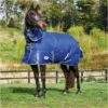 Weatherbeeta Comfitec Premier Medium Detach-A-Neck Rug - Blue / Grey 2 Weatherbeeta Comfitec Premier Medium Detach-A-Neck Rug - Blue / Grey -THE DRILLSHED Shop Weatherbeeta20Comfitec20Premier20Free20Ii20Detach A Neck20Medium20Dark20Blue20Grey20White20 20front.700x700