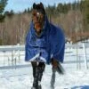 Weatherbeeta Comfitec Ultra Tough II Medium Detach-A-Neck Rug - Blue / Charcoal -THE DRILLSHED Shop Weatherbeeta20Comfitec20Ultra20Tough20Ii20Detach A Neck20Medium20Blue20Charcoal20White20 20front.700x700