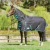 Weatherbeeta Green-Tec 900D Lite Plus Detach-A-Neck Rug - Black / Bottle Green 1 Weatherbeeta Green-Tec 900D Lite Plus Detach-A-Neck Rug - Black / Bottle Green -THE DRILLSHED Shop Weatherbeeta20Green Tec20900D20Deatch A Neck20Lite20Plus20 20Black20Bottle20Green201.700x700 1