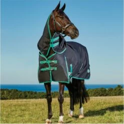Weatherbeeta Green-Tec 900D Lite Plus Detach-A-Neck Rug - Black / Bottle Green -THE DRILLSHED Shop Weatherbeeta20Green Tec20900D20Deatch A Neck20Lite20Plus20 20Black20Bottle20Green208.700x700 1