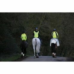 2022 Weatherbeeta Reflective Wrap Around Exercise Sheet 1004324 - Silver / Black -THE DRILLSHED Shop Weatherbeeta20Reflective20Wrap20Around20Exercise20Sheet20Silver20Black201004324 lifestyle.700x700