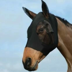 Weatherbeeta Stretch Bug Eye Saver With Ears Black