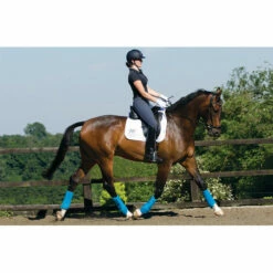 2022 Woof Wear Training Wraps WB0061 - Black / Shiraz Colour Black / Shiraz -THE DRILLSHED Shop Woof Wear Dressage Wraps Action.700x700