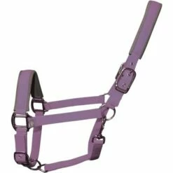 2022 Woof Wear Contour Head Collar WS0022 - Lilac Colour Lilac
