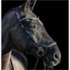 2023 HV Polo Legacy Anatomical Deluxe Bridle 1201093502 - Black -THE DRILLSHED Shop afc180ef2f2f5e6bc80f09c21161673b4878e670 1201093502 9000 mfront.700x700