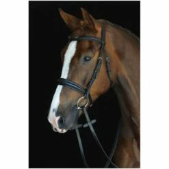 2022 Collegiate Mono Crown Padded Raised Cavesson Bridle 80088 - Black Colour Black