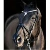 2023 HV Polo Legacy Deluxe Bridle 1201093501 - Black Colour Black -THE DRILLSHED Shop e1354fe99734e27b1ad538a2db810962969103d7 1201093501 9000 mfront.700x700