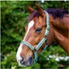 2022 Weatherbeeta Cooordinate Headcollar 1002094012 - Blue / Black / Yellow -THE DRILLSHED Shop wb headcollar coord bee01.700x700